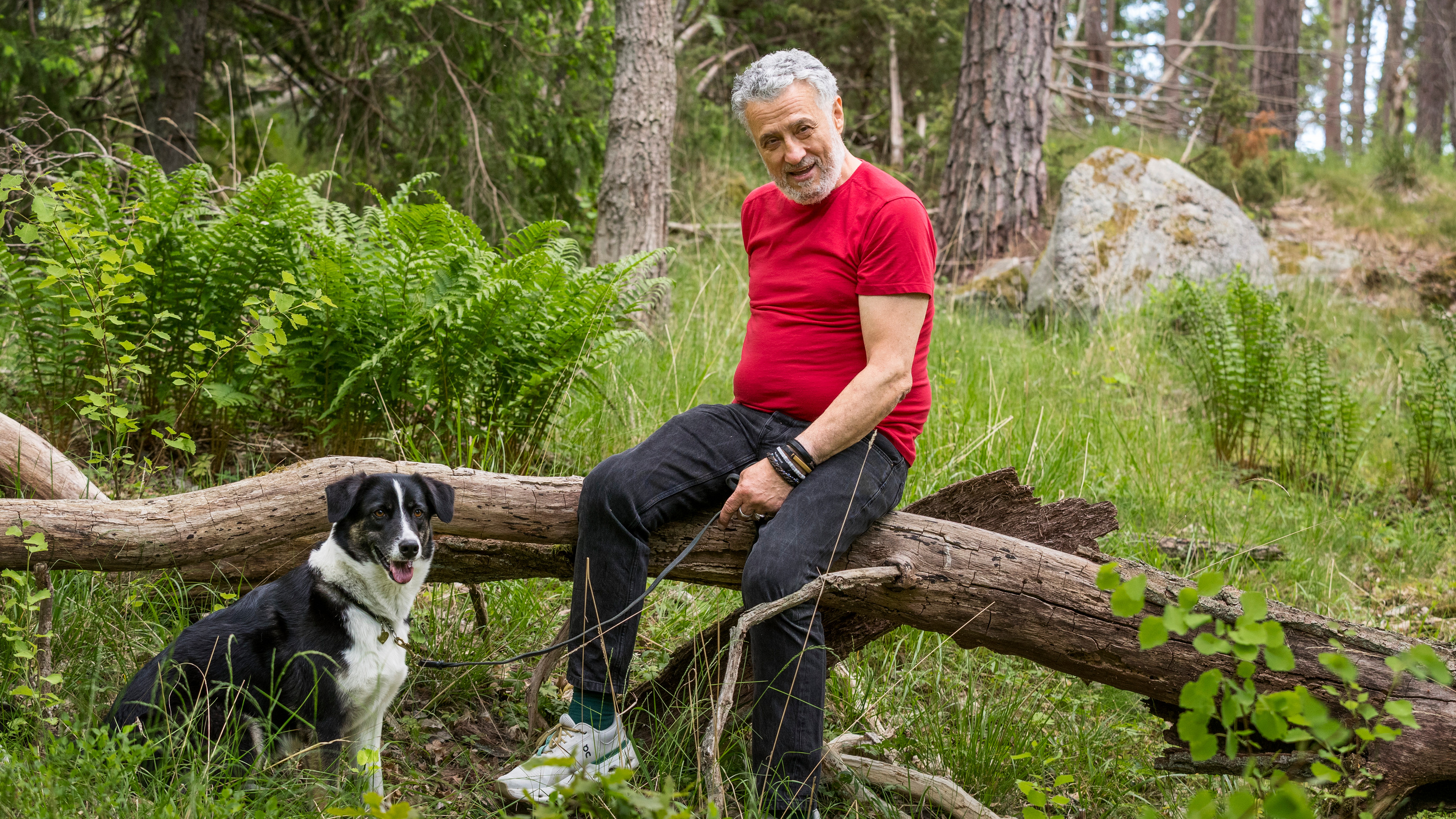 En man sitter på en stock i skogen . han har en hund i koppel.